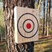 KNIFE THROWING TARGET, Double Sided - 13 1/4 x 10 1/4 x 3 Only $44.99 #470